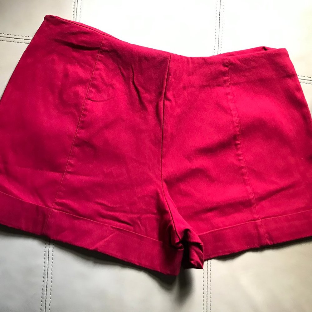 Express Shorts - Picture 3 of 4